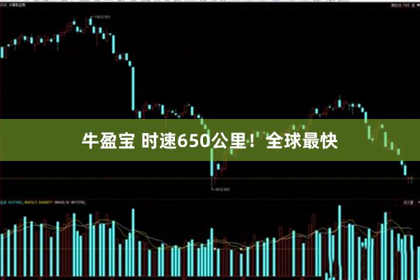 牛盈宝 时速650公里！全球最快