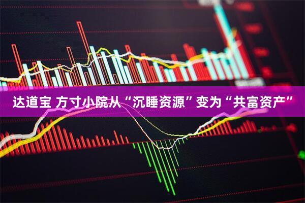 达道宝 方寸小院从“沉睡资源”变为“共富资产”