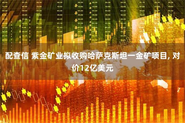 配查信 紫金矿业拟收购哈萨克斯坦一金矿项目, 对价12亿美元