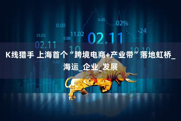 K线猎手 上海首个“跨境电商+产业带”落地虹桥_海运_企业_发展