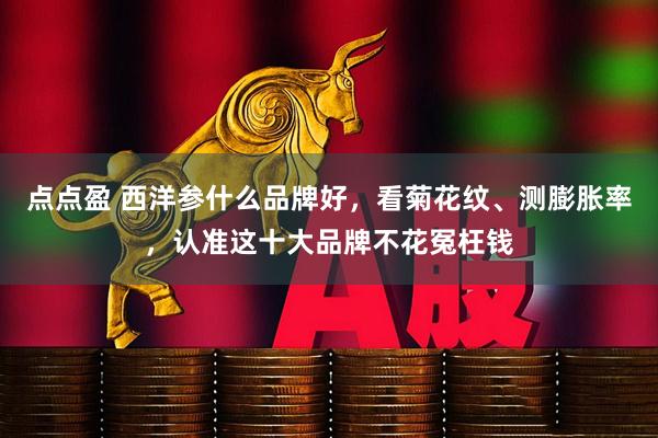 点点盈 西洋参什么品牌好，看菊花纹、测膨胀率，认准这十大品牌不花冤枉钱