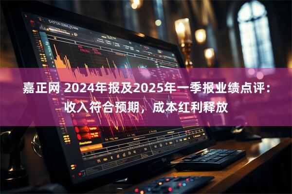 嘉正网 2024年报及2025年一季报业绩点评：收入符合预期，成本红利释放