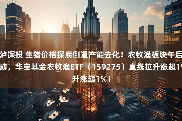 泸深投 生猪价格探底倒逼产能去化！农牧渔板块午后异动，华宝基金农牧渔ETF（159275）直线拉升涨超1%！